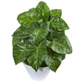 23" Taro Artificial Plant in White Vase