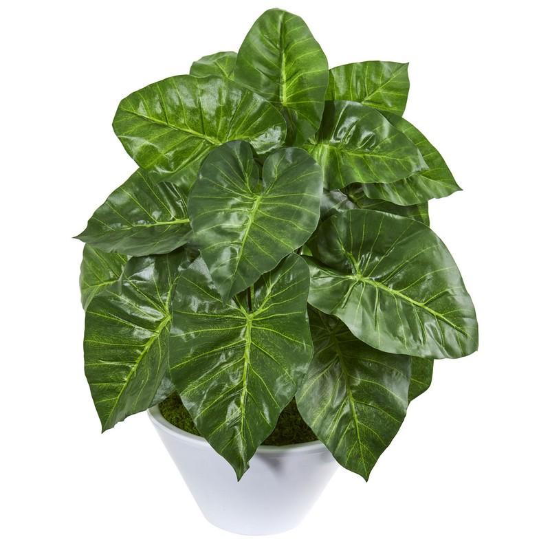 23" Taro Artificial Plant in White Vase