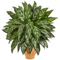 29" Silver King Artificial Plant in Terra Cotta Planter