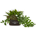 16" Mixed Succulents, Stephanotis and Ivy Artificial Plant