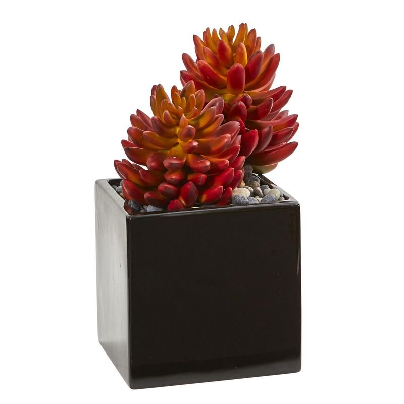 Agave and Spiky Succulent Artificial Plant in Vase (Set of 2)