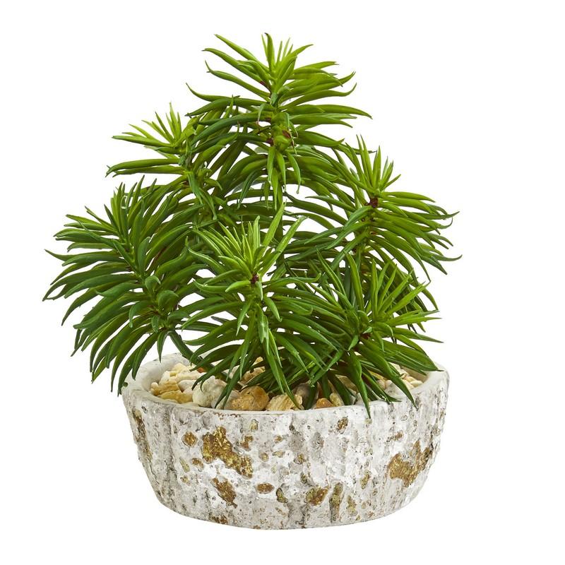 Succulent Artificial Plant in Weathered Oak Planter (Set of 2)