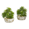 Succulent Artificial Plant in Weathered Oak Planter (Set of 2)