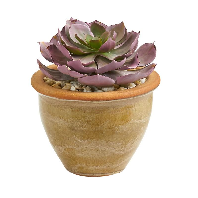 12" Succulent Artificial Plant in Glazed Ceramic Vase (Set of 2)