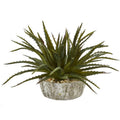 9" Aloe Succulent Artificial Plant in Weathered Oak Planter