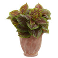 Coleus Artificial Plant in Terra Cotta Planter (Real Touch)