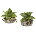 6" Dusty Succulent Artificial Plant in Weathered Vase (Set of 2)