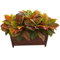 Croton Artificial Plant in Decorative Planter (Real Touch)