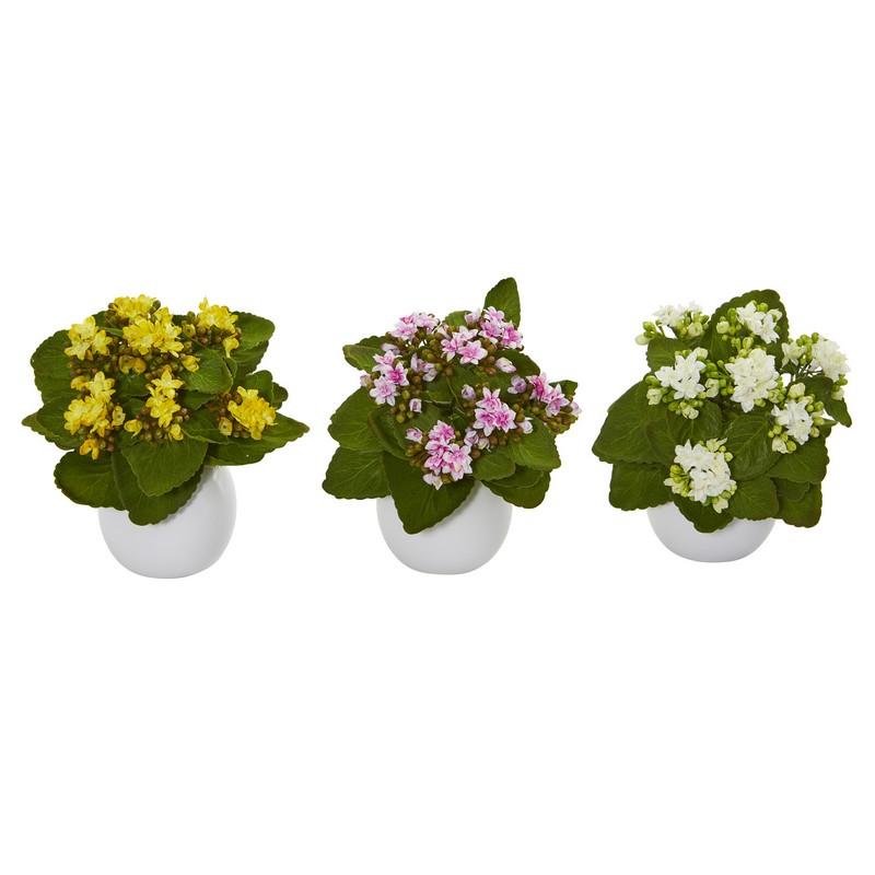 8" Kalanchoe Artificial Plant in White Vase (Set of 3)