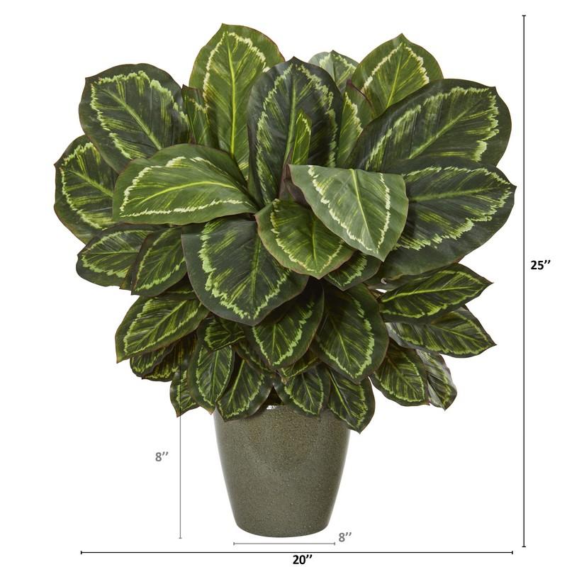 25" Maranta Artificial Plant in Decorative Planter