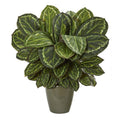 25" Maranta Artificial Plant in Decorative Planter