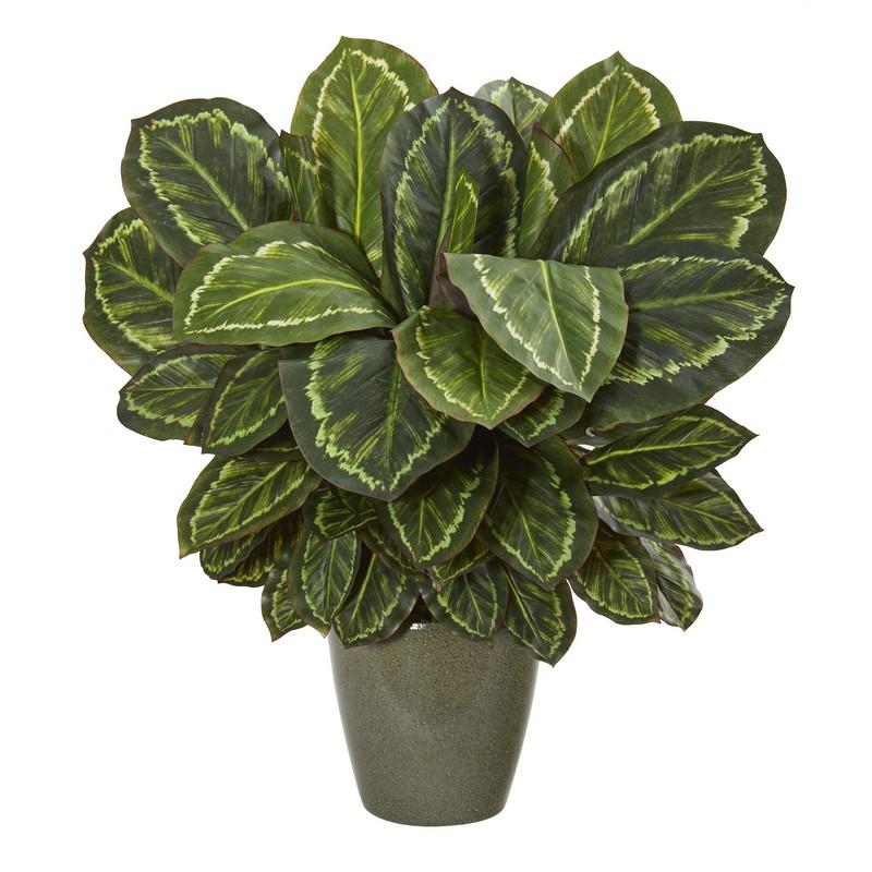 25" Maranta Artificial Plant in Decorative Planter