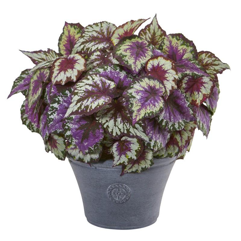 22" Begonia Artificial Plant in Gray Planter