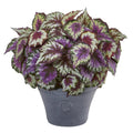 22" Begonia Artificial Plant in Gray Planter