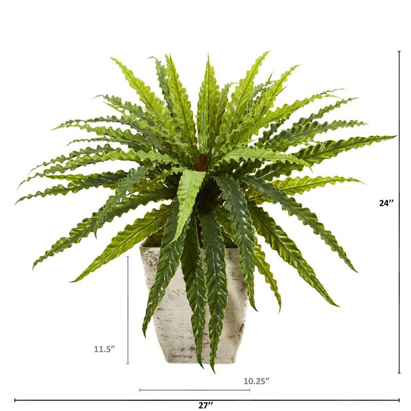 24" Asplenium Artificial Plant in Country White Planter