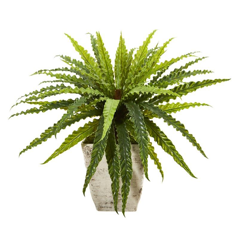 24" Asplenium Artificial Plant in Country White Planter