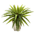 24" Asplenium Artificial Plant in Country White Planter