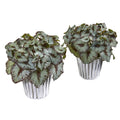10" Begonia Artificial Plant in White and Silver Trimmed Vase (Set of 2)