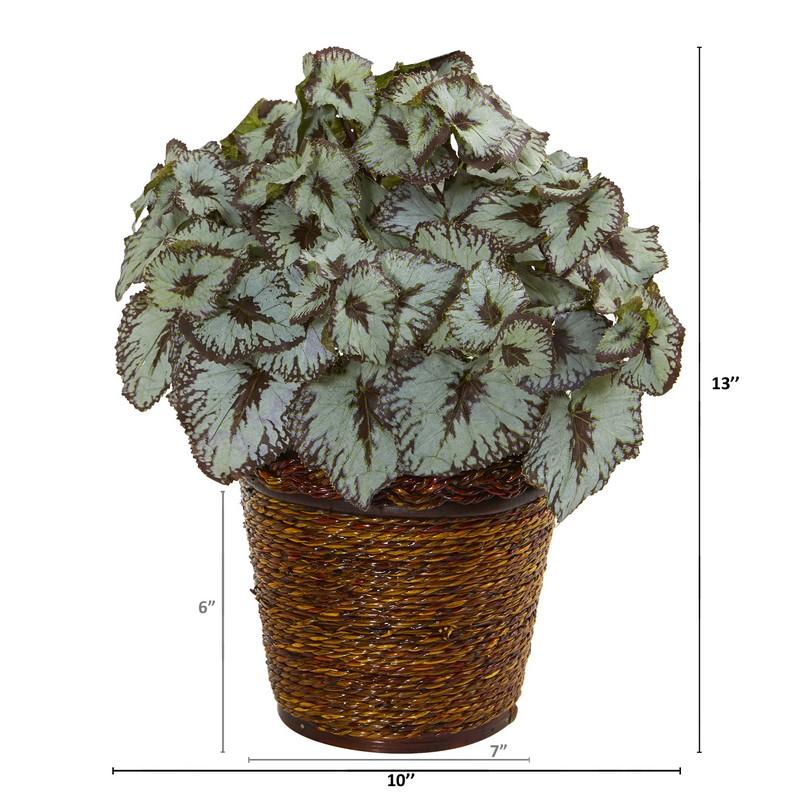 13" Begonia Artificial Plant in Basket