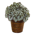 13" Begonia Artificial Plant in Basket