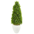 41" Eucalyptus Cone Topiary Artificial Tree in White Planter (Indoor/Outdoor)