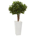 49" Bay Leaf Topiary Artificial Tree in White Tower Planter