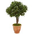 39" Bay Leaf Topiary Artificial Tree in Terra Cotta Planter