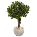 38" Bay Leaf Topiary Artificial Tree in Sand Colored Planter