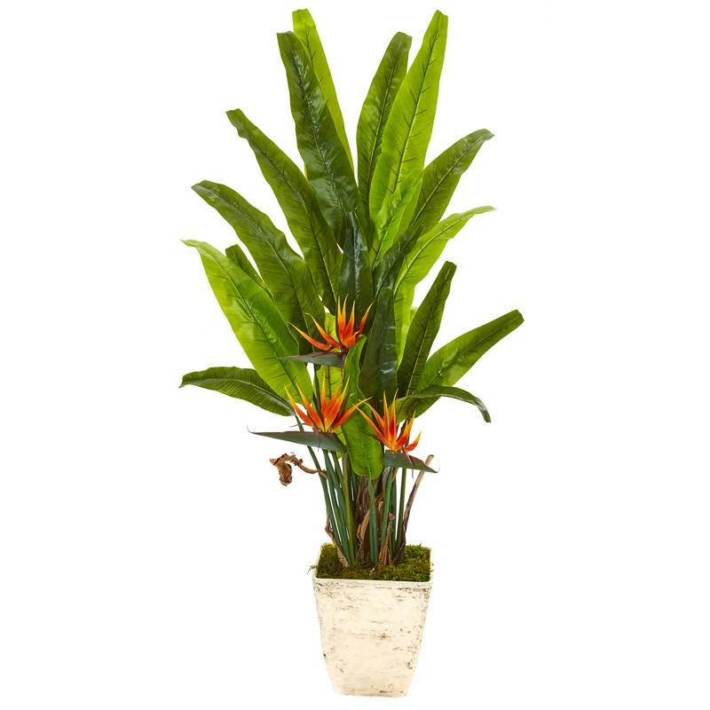 59" Bird of Paradise Artificial Plant in Country White Planter