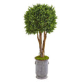 55" Boxwood Artificial Topiary Tree in Planter UV Resistant (Indoor/Outdoor)