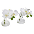 Phalaenopsis Orchid Artificial Arrangement in Vase (Set of 2)