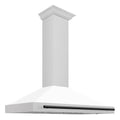 ZLINE 48" Autograph Stainless Wall Range Hood KB4SNZ-WM48-MB