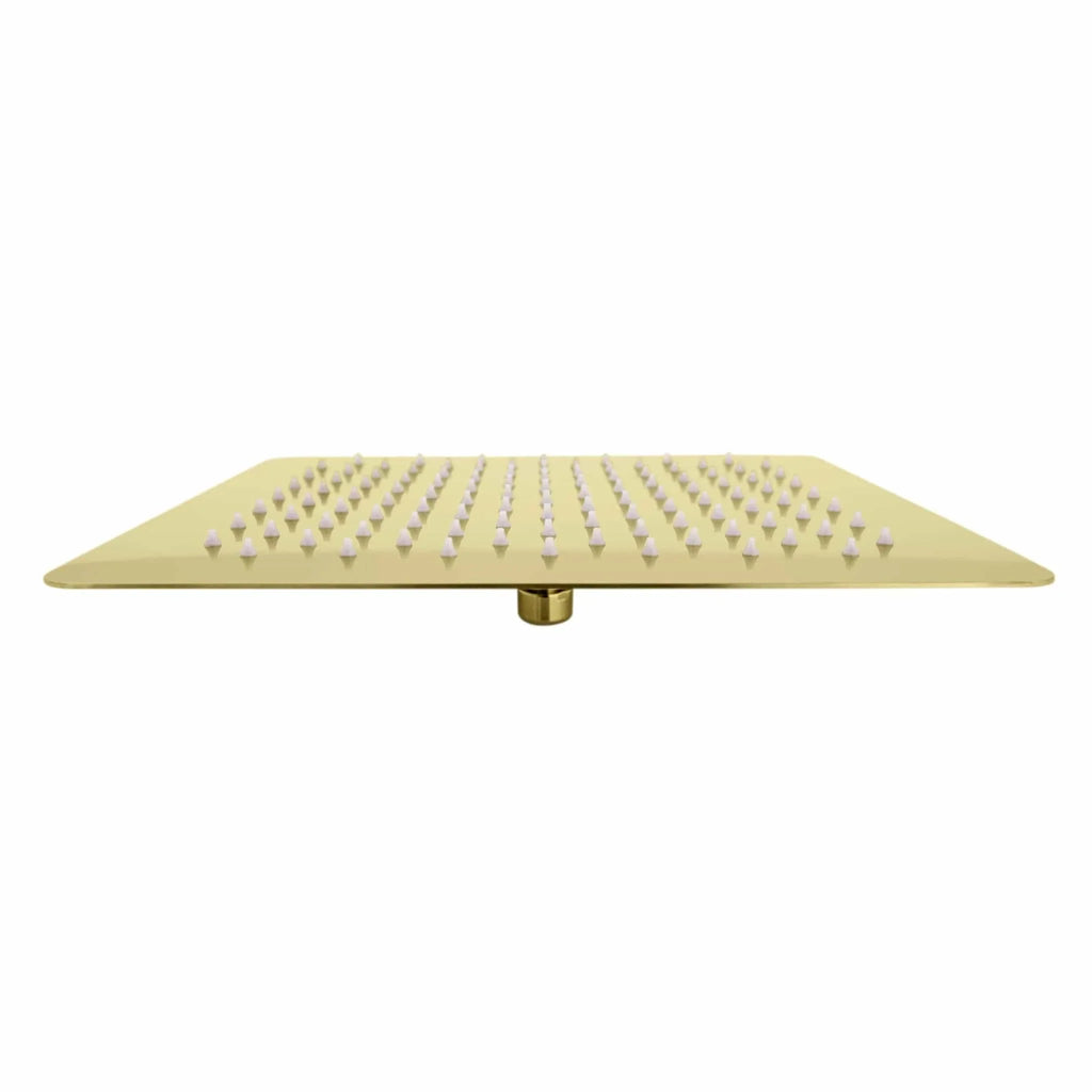 ZLINE 12" Bliss Shower Head in Polished Gold BLS-H12-PG