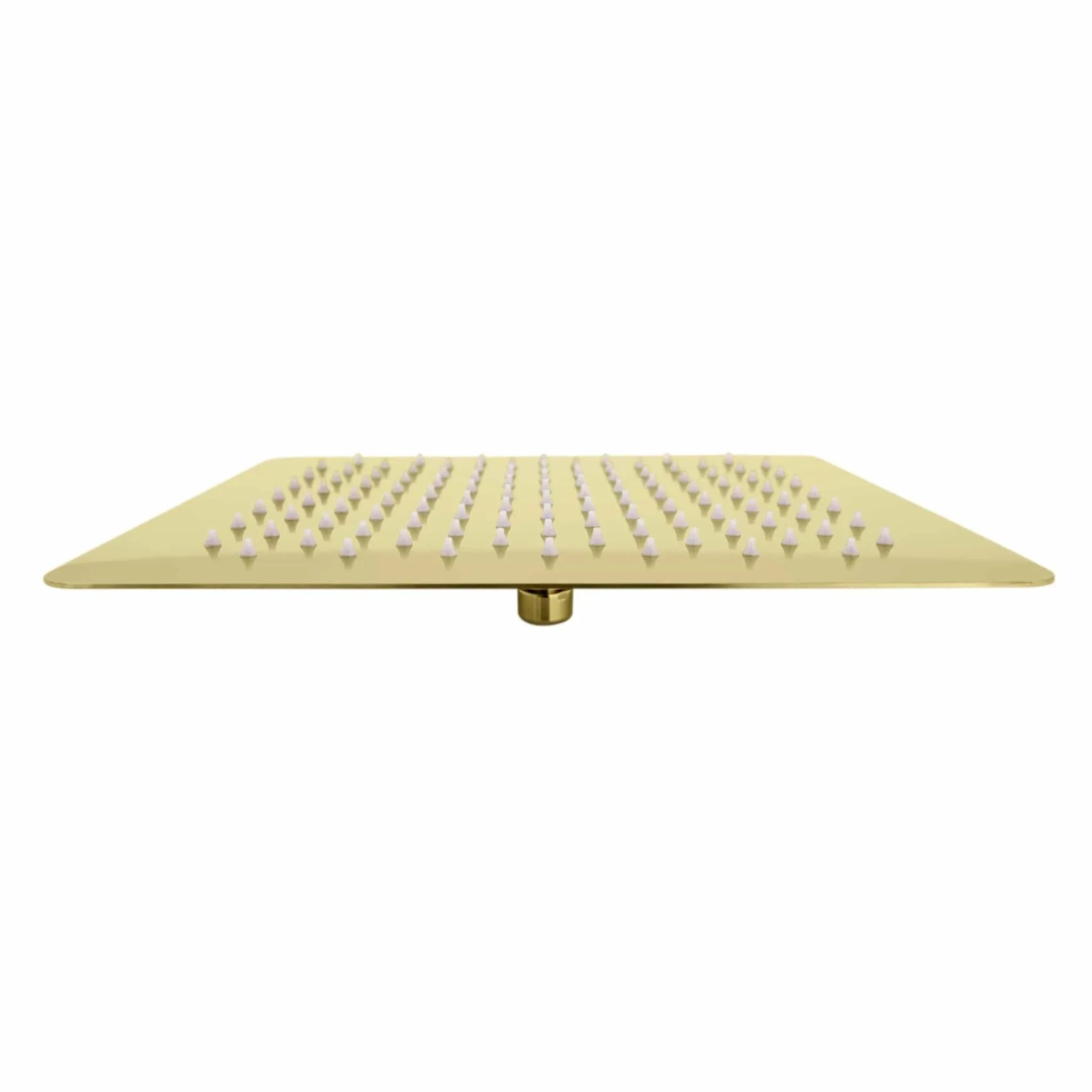 ZLINE 12" Bliss Shower Head in Polished Gold BLS-H12-PG