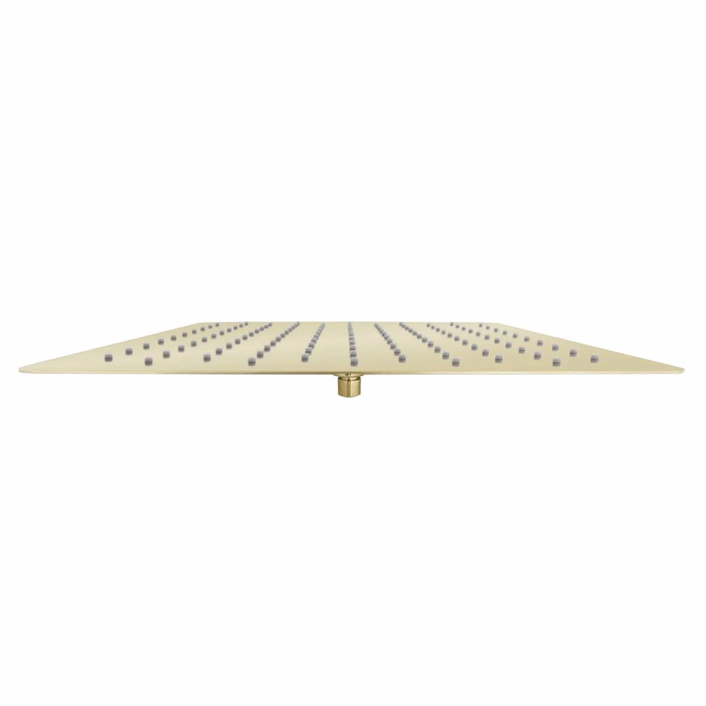 ZLINE 16" Bliss Shower Head BLS-H16-PG