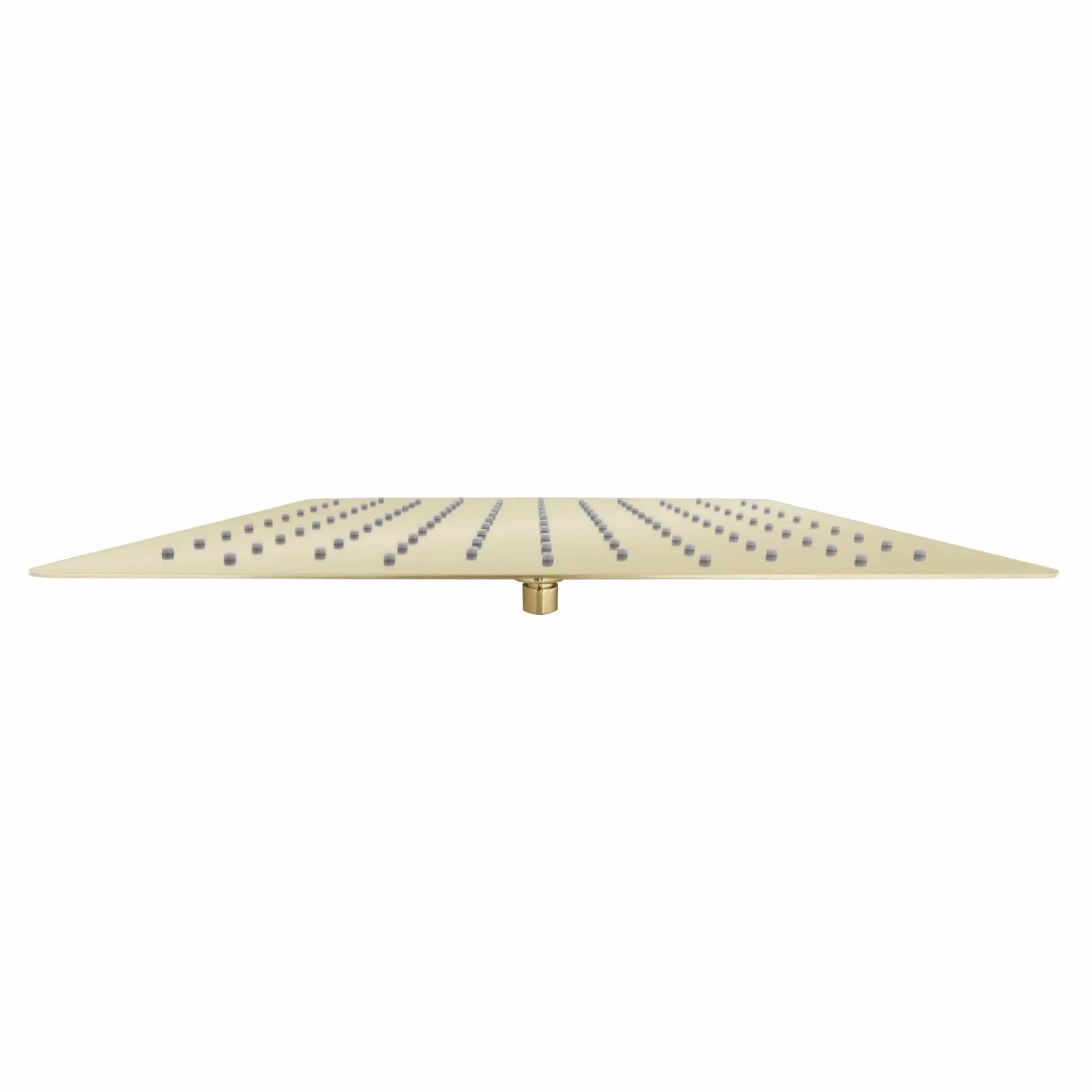 ZLINE 16" Bliss Shower Head BLS-H16-PG