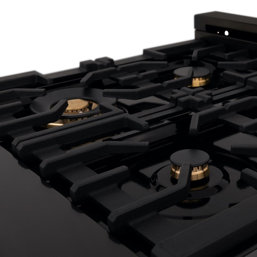 ZLINE 24" Black Stainless, Gas Brass Burner, Electric Range, RAB-BR-24