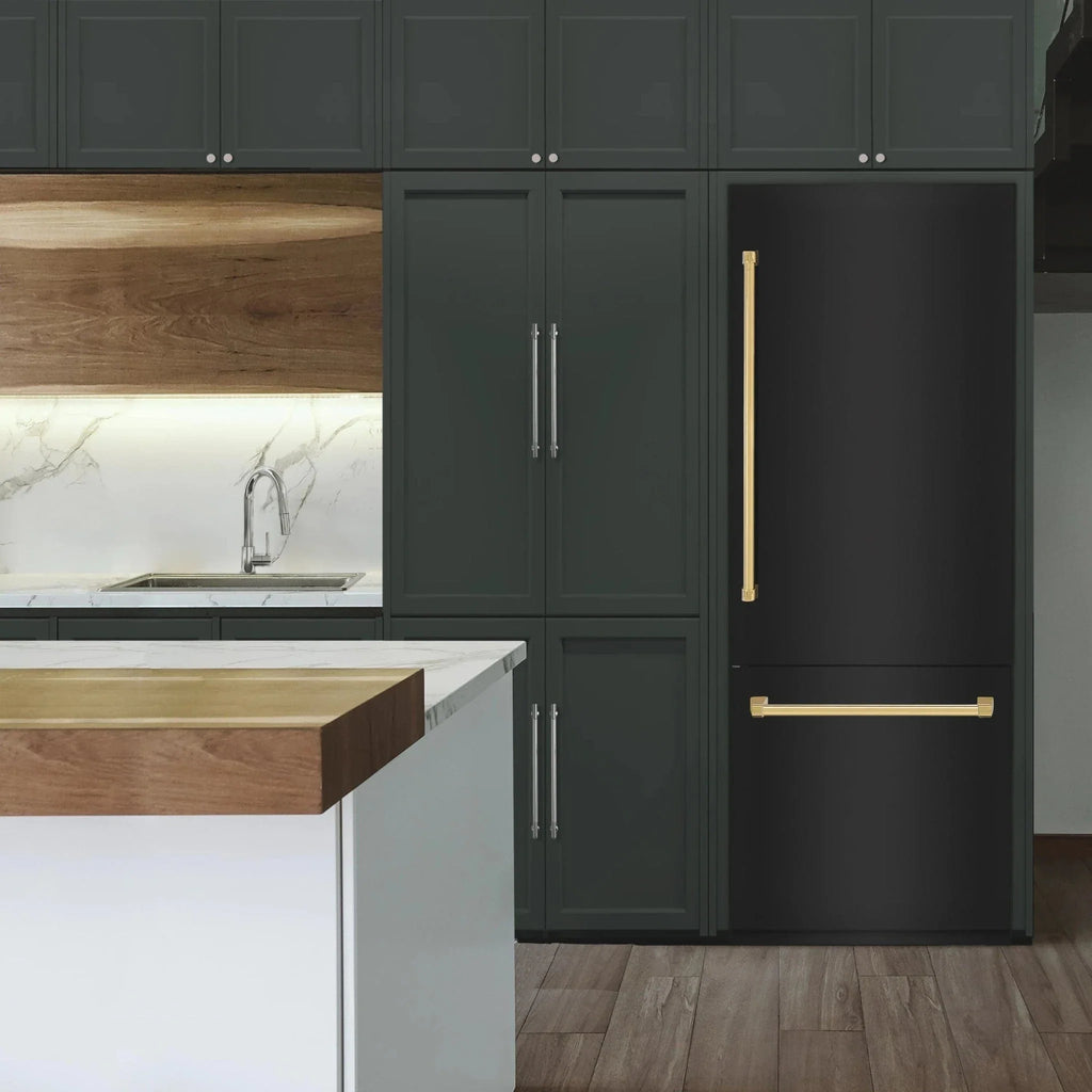 ZLINE 30" Autograph 16.1 cu. ft. 2-Door Bottom Freezer Fridge Water/Ice Dispenser Black Stainless Steel Gold Accents RBIVZ-BS-30-G