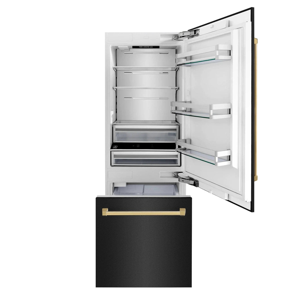 ZLINE 30" Autograph 16.1 cu. ft. 2-Door Bottom Freezer Fridge Water/Ice Dispenser Black Stainless Steel Gold Accents RBIVZ-BS-30-G