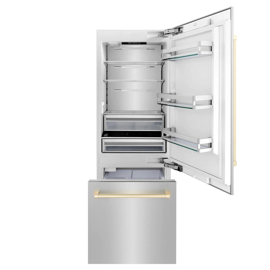 ZLINE 30” Autograph 16.1 cu. ft. 2-Door Bottom Freezer Fridge Water/Ice Dispenser Stainless Steel Gold Accents RBIVZ-304-30-G