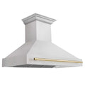 ZLINE 48" Autograph DuraSnow Stainless Steel Hood 8654SNZ-48-G