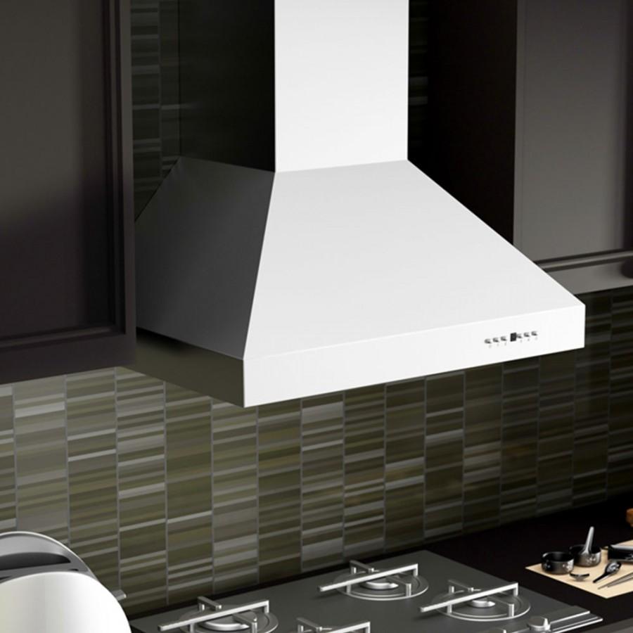 ZLINE 48" Remote Dual Blower Stainless Wall Range Hood, 697-RD-48