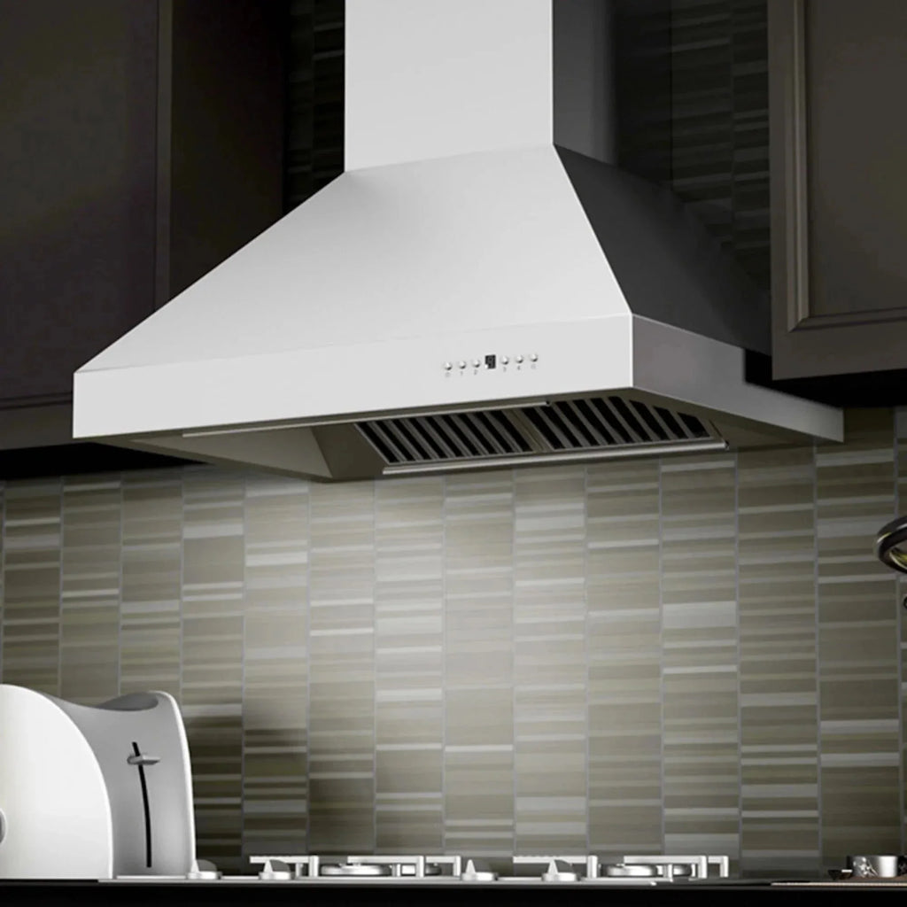 ZLINE Ducted Wall Mount Range Hood in Outdoor Approved Stainless Steel 697-304-36