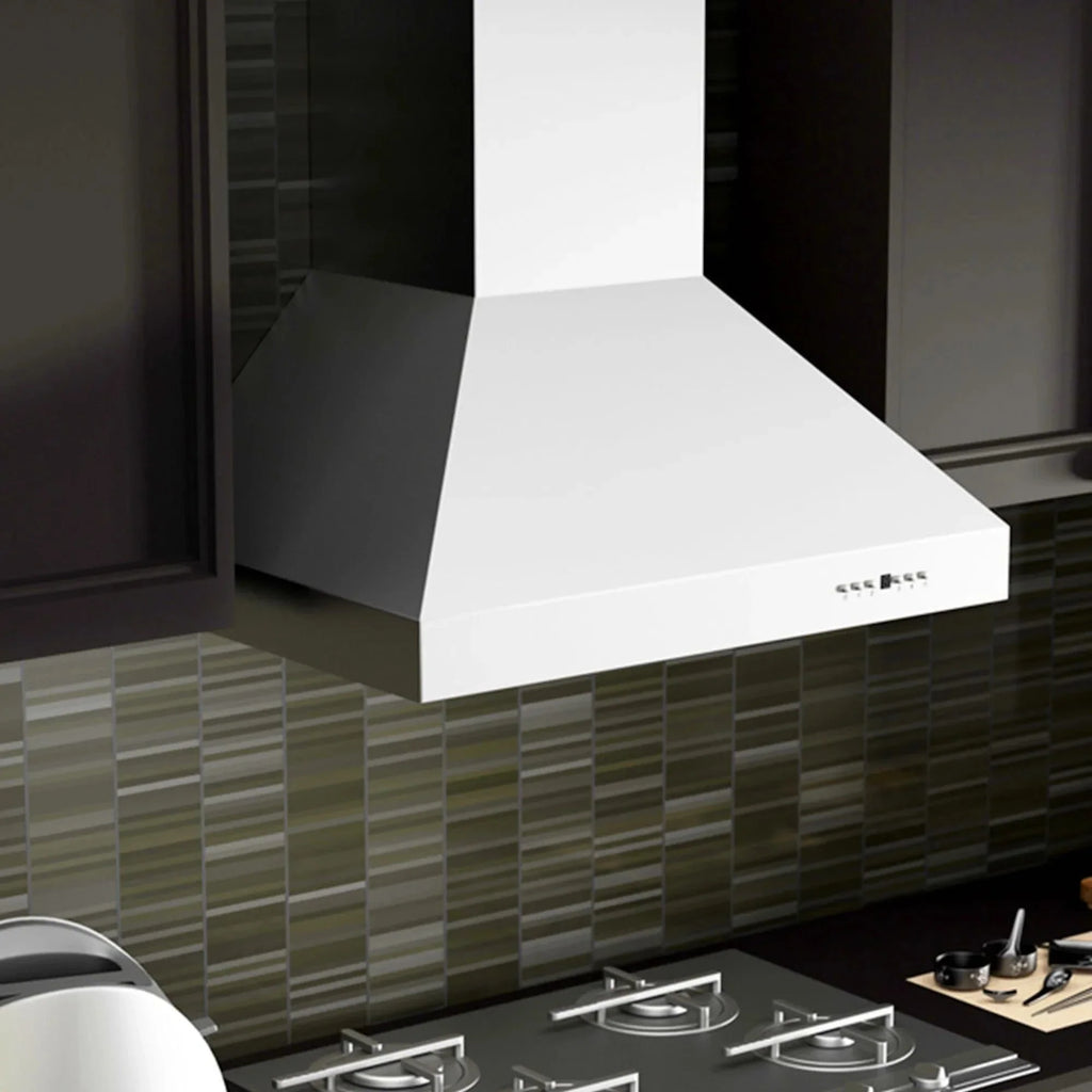 ZLINE Ducted Wall Mount Range Hood in Outdoor Approved Stainless Steel 697-304-60